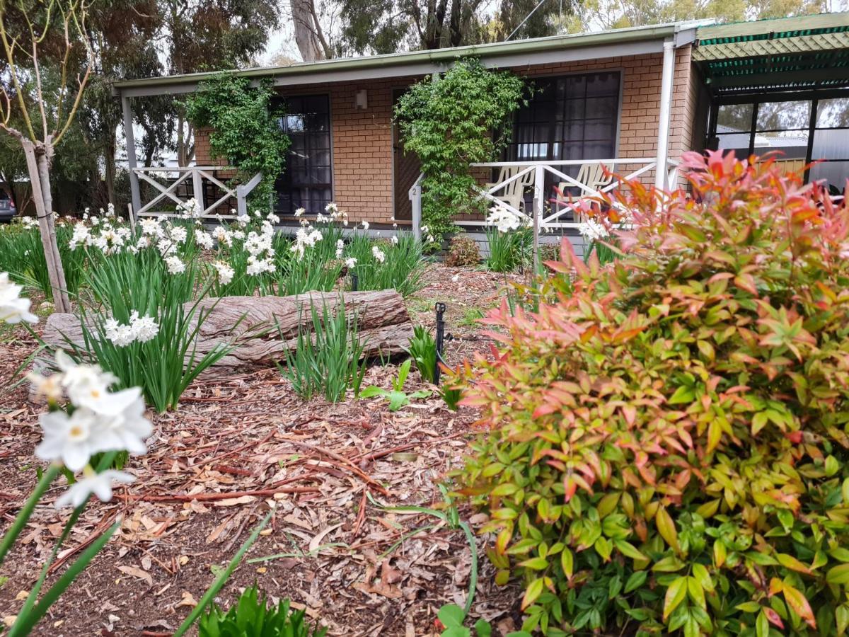 Barossa Country Cottages Lyndoch Kültér fotó
